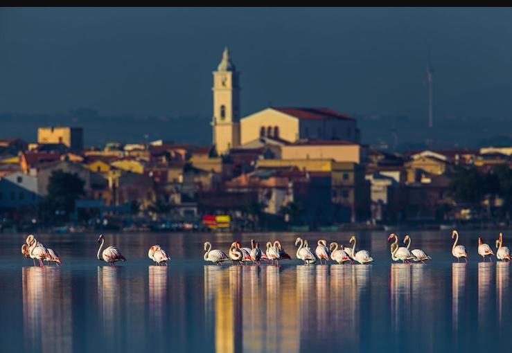 Casale Villa Giulia Marina Di Lesina Zewnętrze zdjęcie