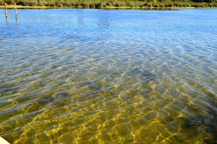 Casale Villa Giulia Marina Di Lesina Zewnętrze zdjęcie